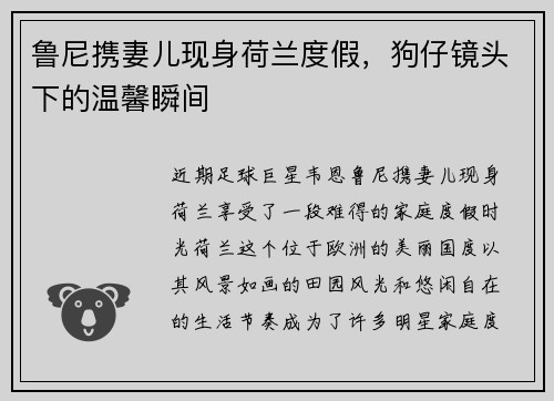 鲁尼携妻儿现身荷兰度假，狗仔镜头下的温馨瞬间